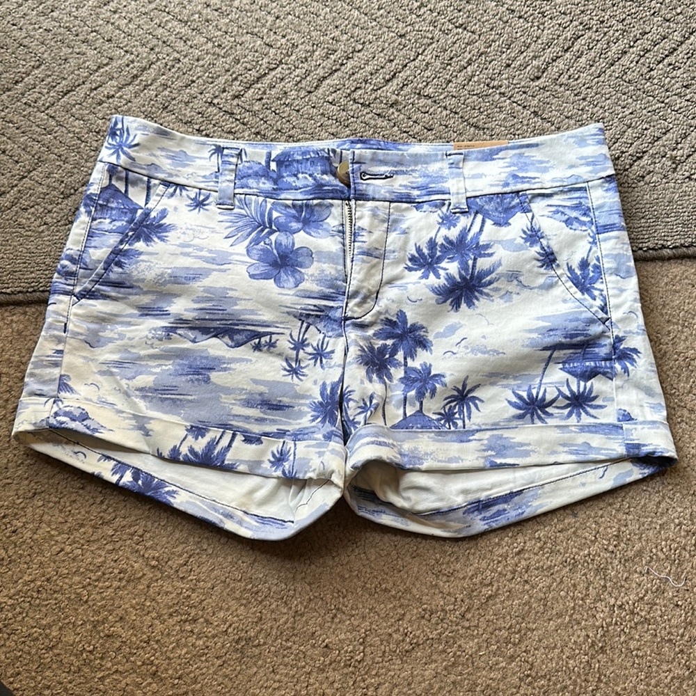 MIDI American Eagle Shorts